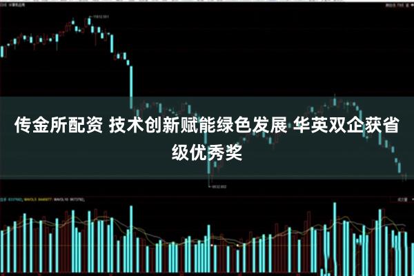 传金所配资 技术创新赋能绿色发展 华英双企获省级优秀奖