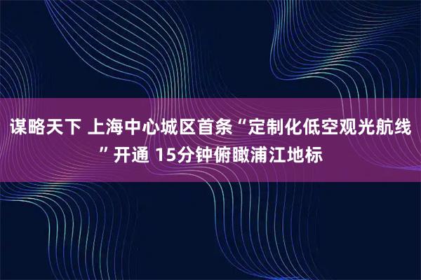 谋略天下 上海中心城区首条“定制化低空观光航线”开通 15分钟俯瞰浦江地标