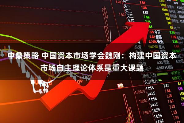 中鼎策略 中国资本市场学会魏刚：构建中国资本市场自主理论体系是重大课题