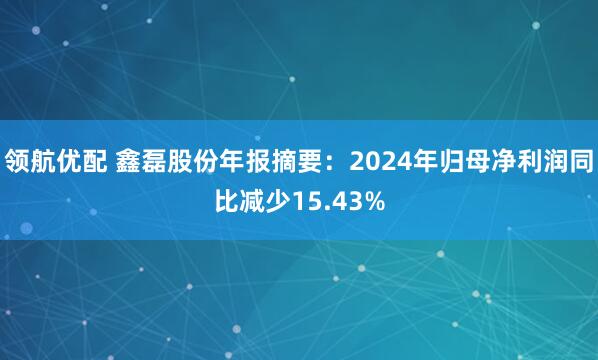 领航优配 鑫磊股份年报摘要：2024年归母净利润同比减少15.43%